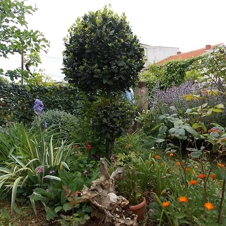 Appartement Ivana